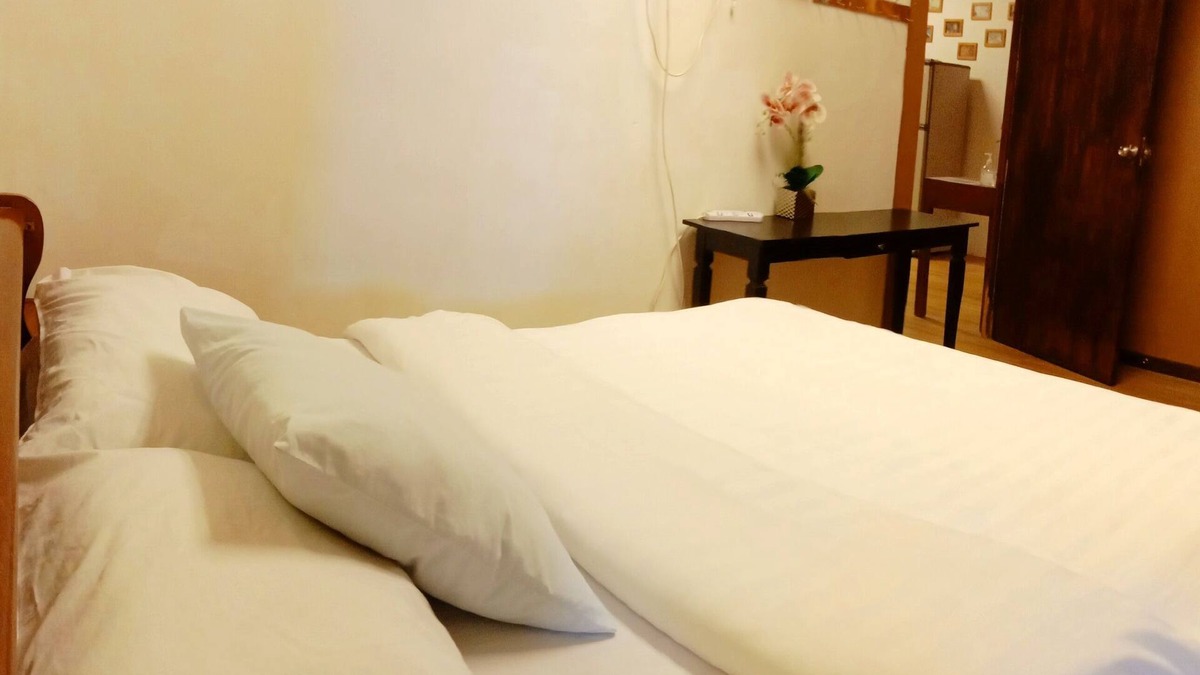 Malacca City House | Petra Lodge and Homestay