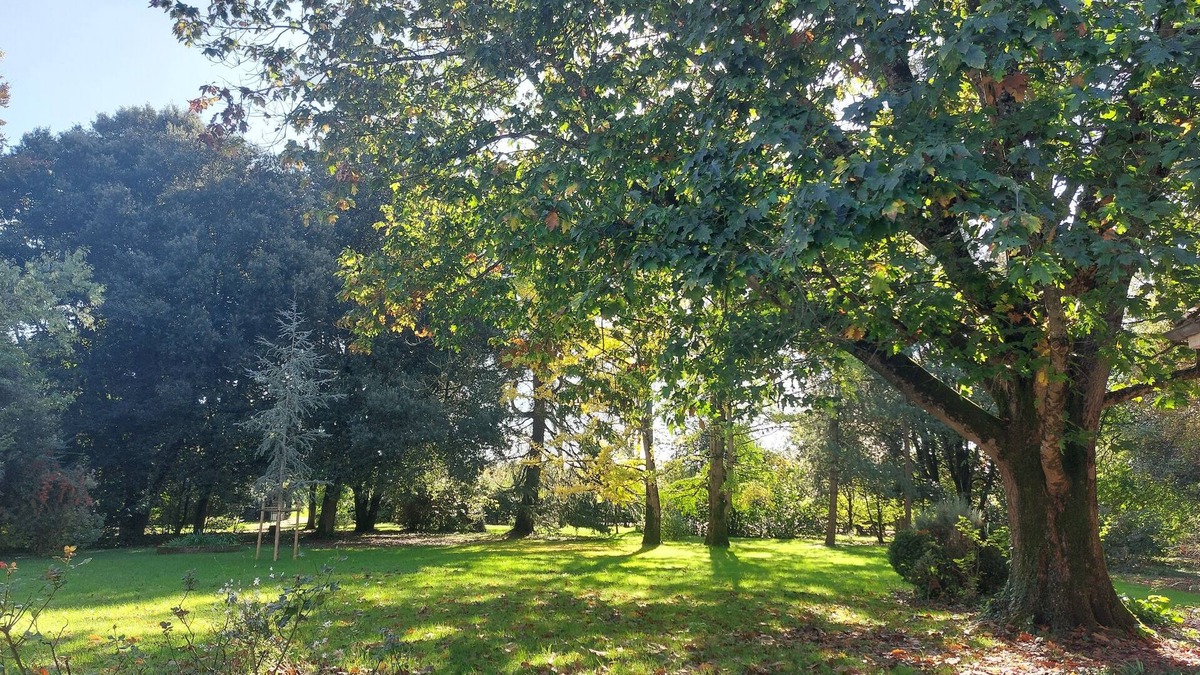 Le Mazeau Bed & Breakfast | Pets allowed