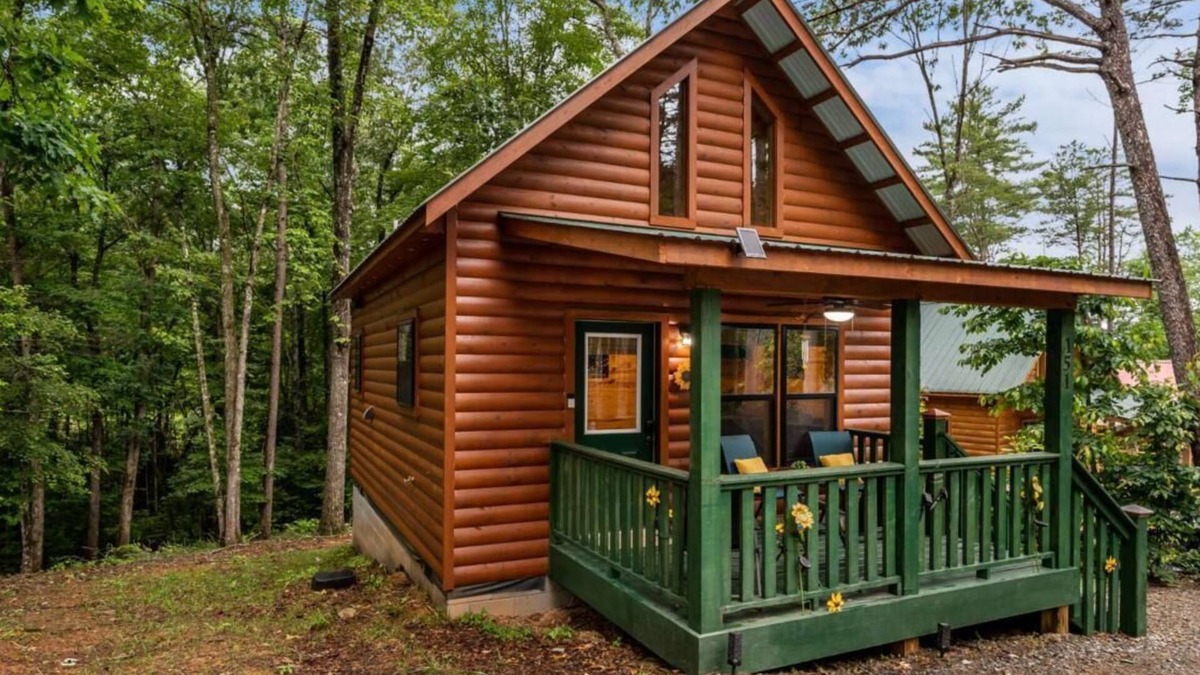Murphy Cabin | Pets Welcomed at this Colorful Sunflower Cabin!