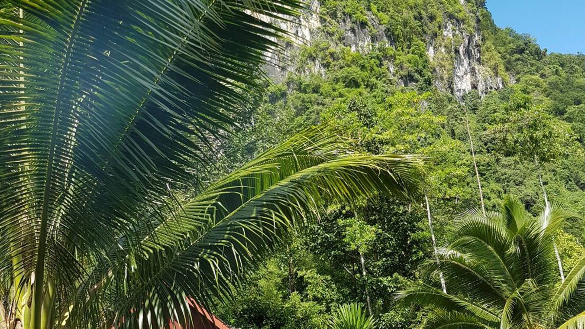 Krabi Hotel | Phanom Bencha Mountain Resort