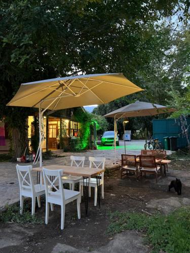Tekirova Other | Phaselis Park Camping