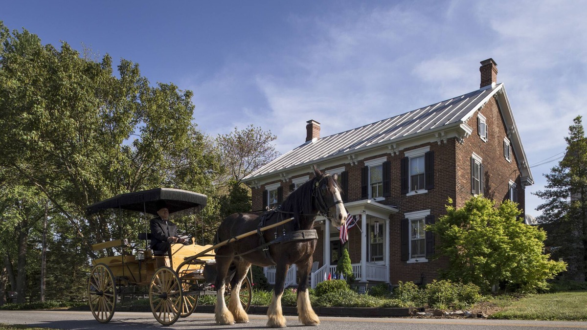 Carlisle Bed & Breakfast | Pheasant Field B&B