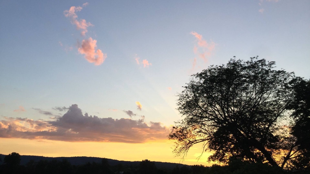 New Paltz Bed & Breakfast | Phillie's Country Comfort Space- New Paltz, N.Y.