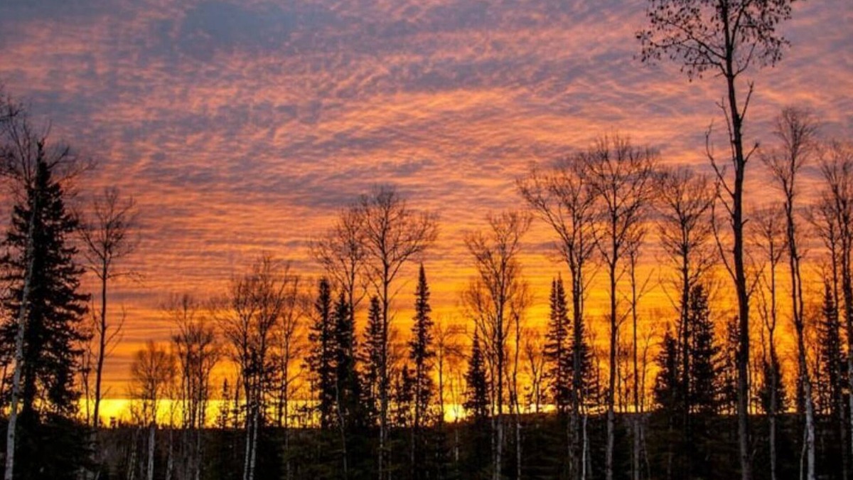 Hovland Cabin | Phoenix Rising Off-Grid Amish crafted log cabin near the BWCA & SHT - Sled Dogs!