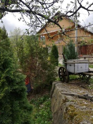 Nehoiu House | Piatra Mare Nehoiu 1