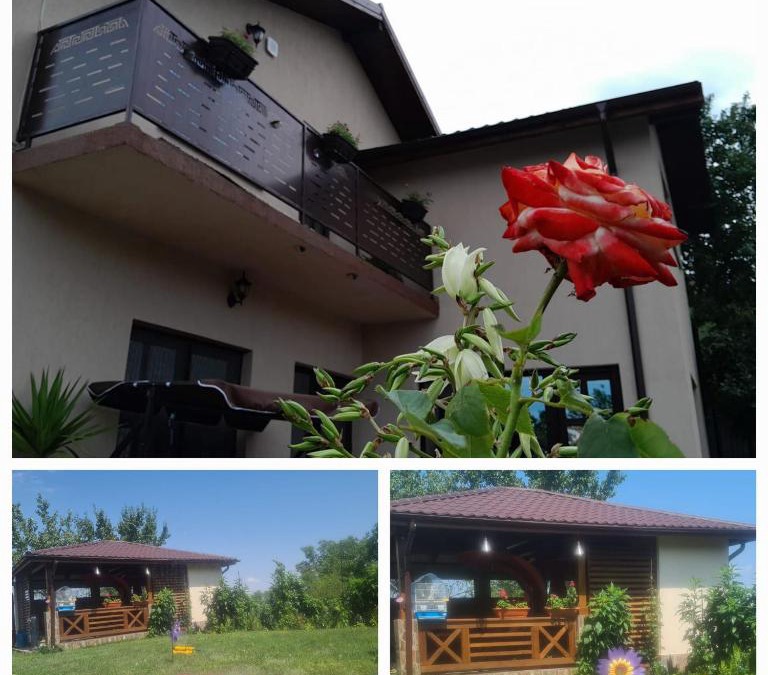 Niculitel House | PIATRA ROSIE Pensiune Agroturistică