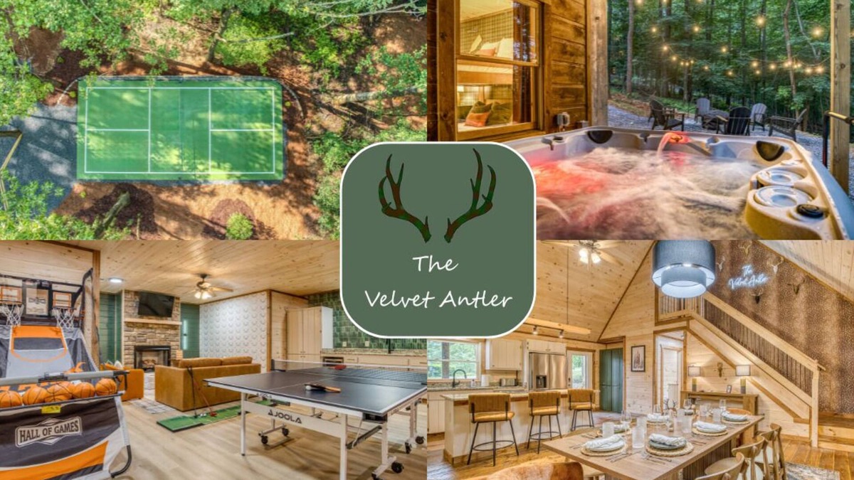 Blue Ridge Cabin | Pickleball in the Woods-Sauna-Hot tub-Firepit-Near Downtown