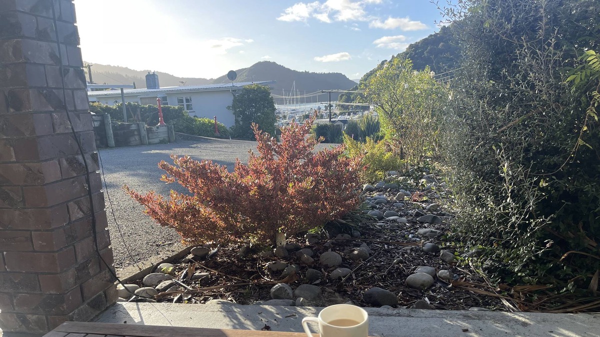 Picton House | Picton Perfect Location