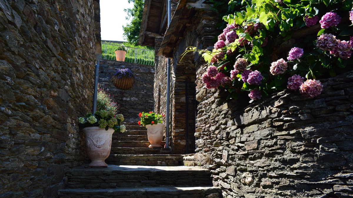 Saint-Martin-de-Lansuscle House | Picturesque family house (3 bedrooms-private pool) Nat des Cévenne Park