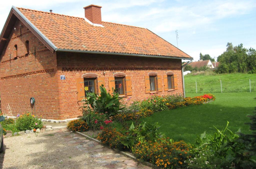 Pieczarki Cabin | Pieczarki
