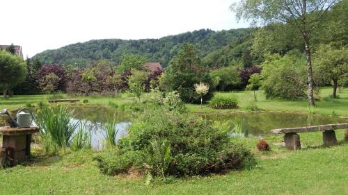 Vallee du Breuchin Bed & Breakfast | Pied des Milles Etang - Les Capucins
