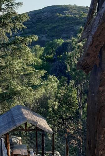 Comuna Estancia Vieja House | Piedramadre hermosa cabaña a metros del río hasta 4 huéspedes