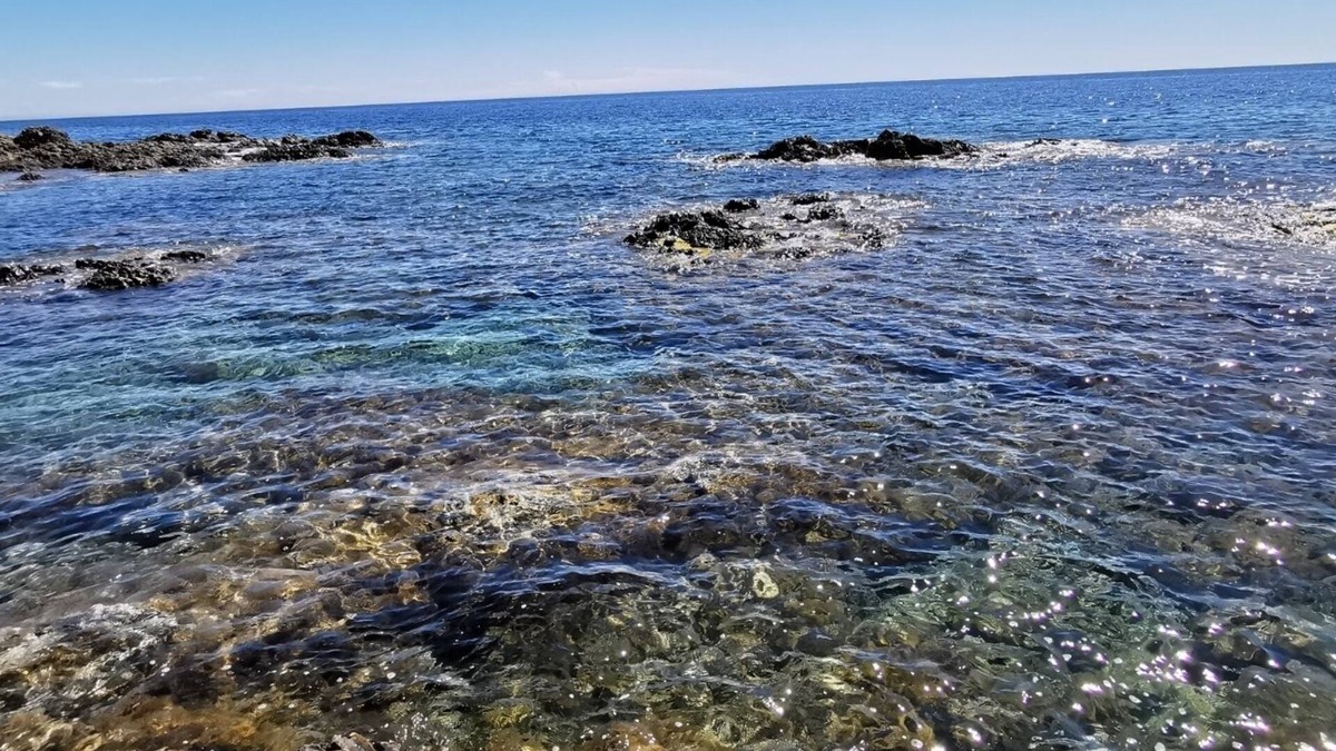 Tarcu Villa | Pieds Dans L'eau Villa "crique aux Tortues"