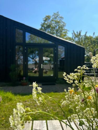 Pieterburen House | PieterBuur