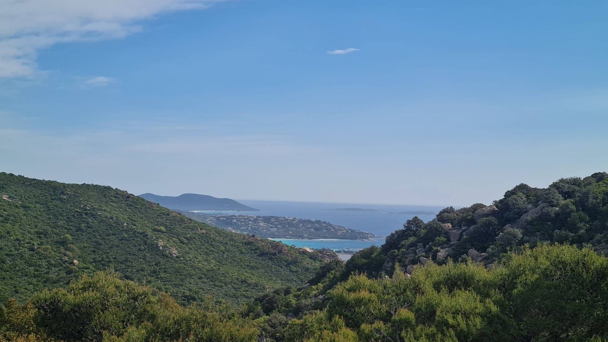 Pietra Long Salvini House | Pietralunga by Interhome
