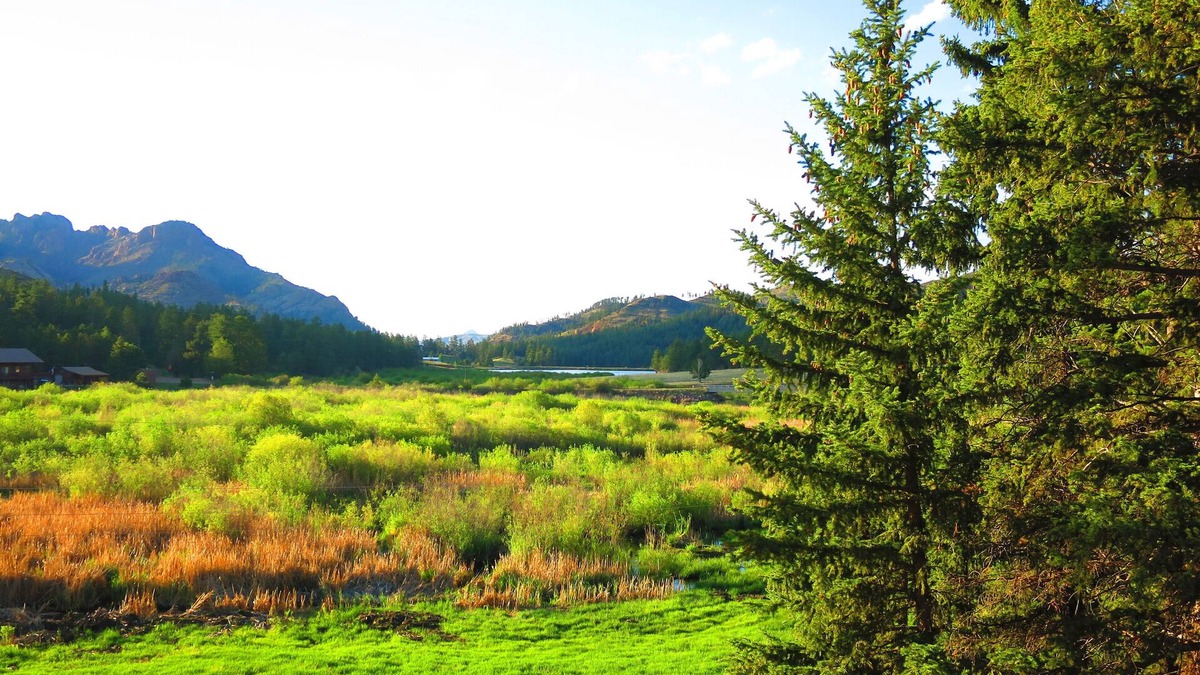 Westcreek House | PIKES PEAK RETREAT PANORAMIC MOUNTAIN AND LAKE VIEWS, PIKES NATIONAL FOREST