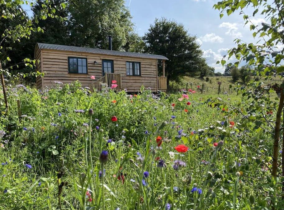 Sittingbourne Apartment | Pilgrims Nap