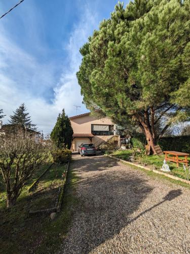 Marmande Apartment | Pin parasol