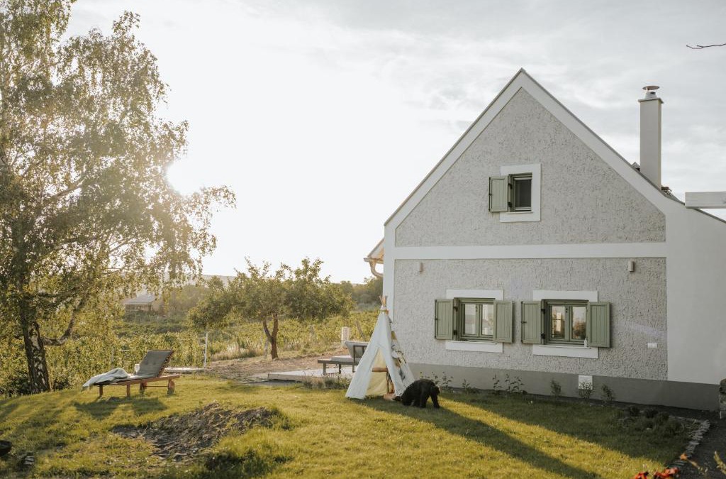 Balatoncsicso House | Pince a hegyen
