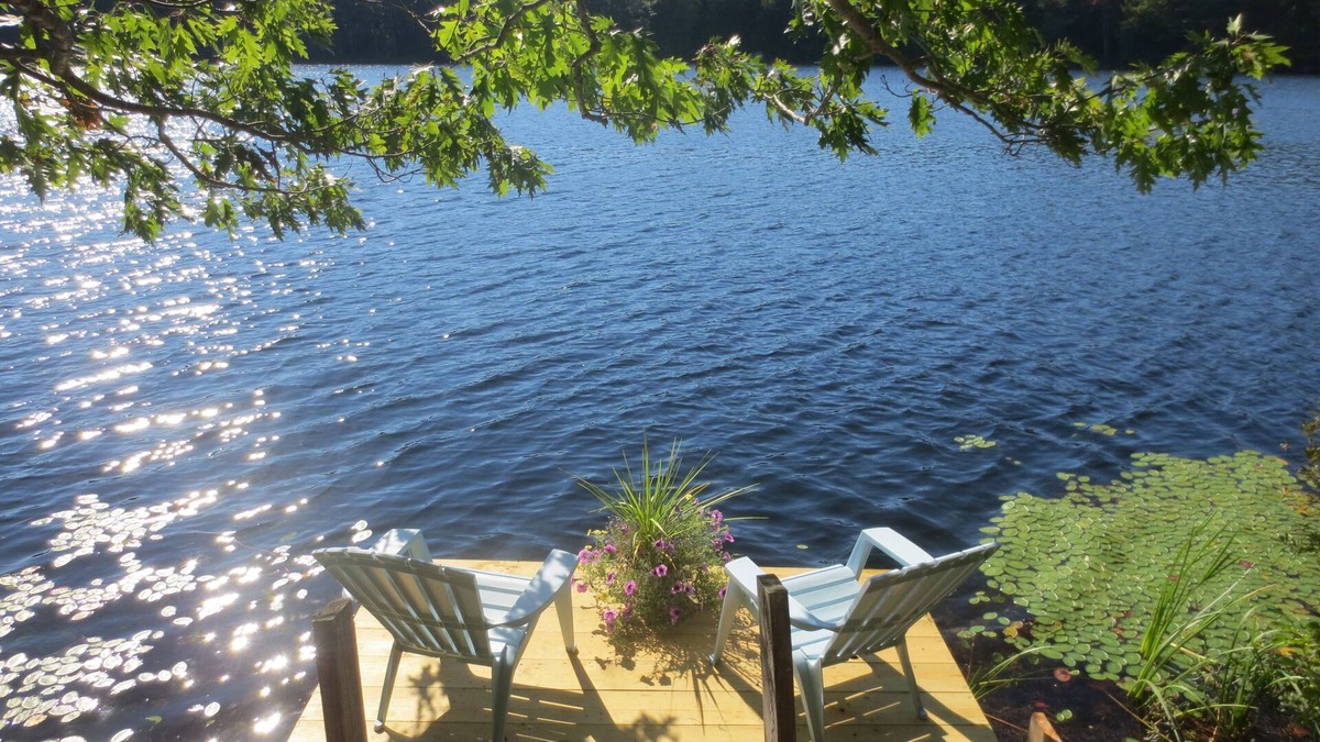 Boothbay Apartment | Pinetree Suite- located on the Lake, surrounded by pine trees.PERFECT