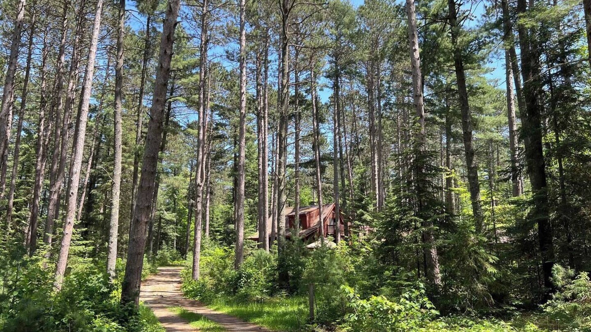 Ely Cabin | PINEY WOODS RETREAT in ELY, MINNESOTA