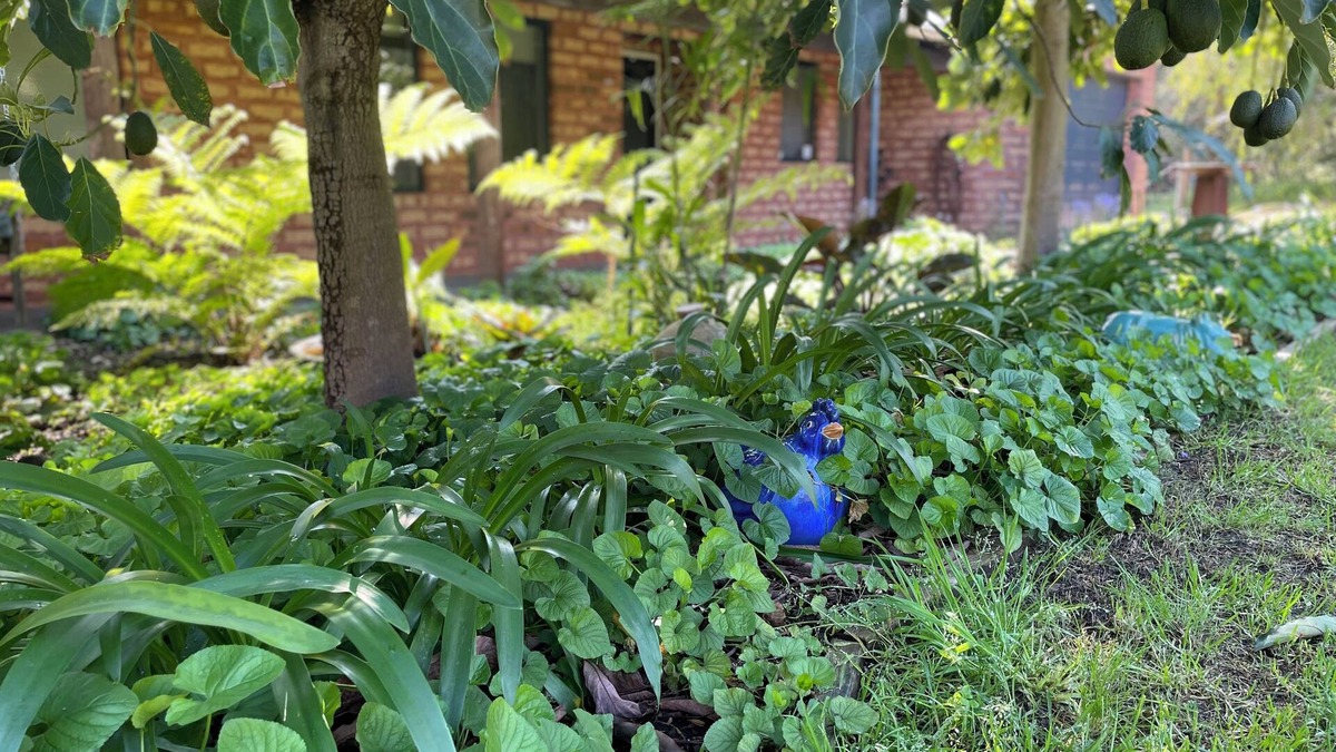 Walliston House | Ping Willows Guesthouse: Spacious Accommodation in the Perth Hills