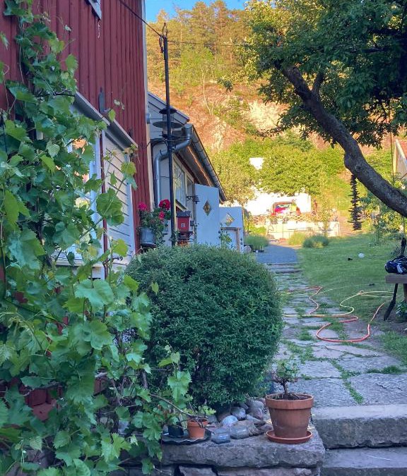 Granna House | Pinglans bakficka