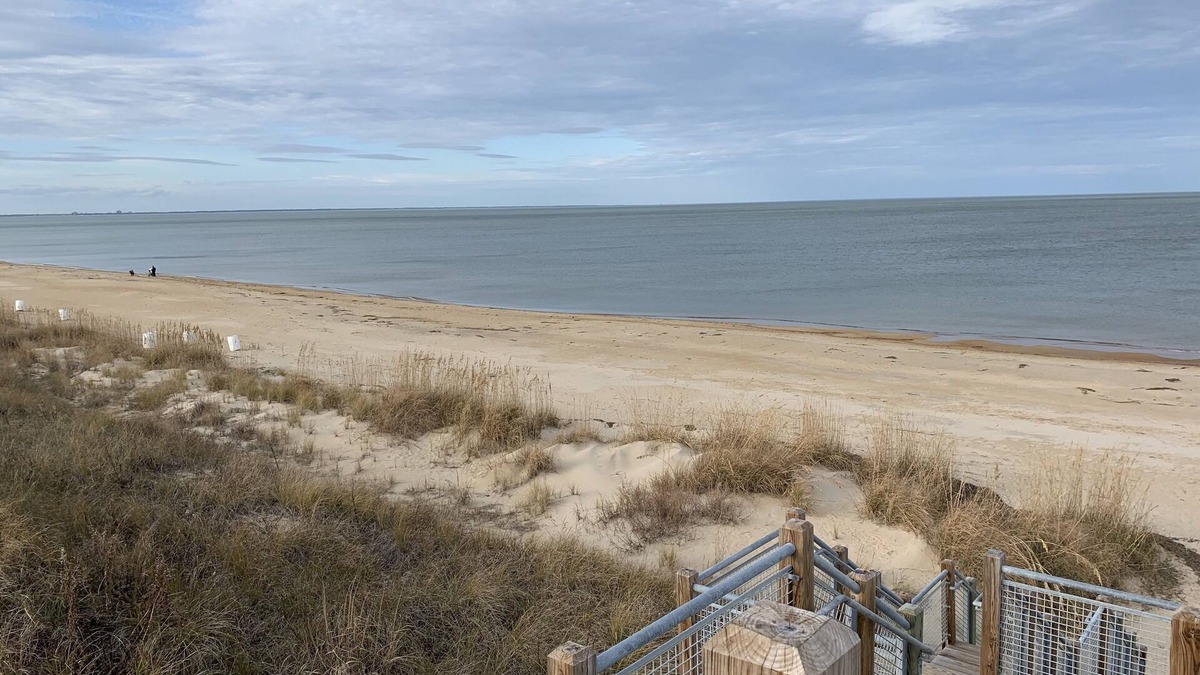 East Ocean View Cottage | Pink Flamingo at the Beach