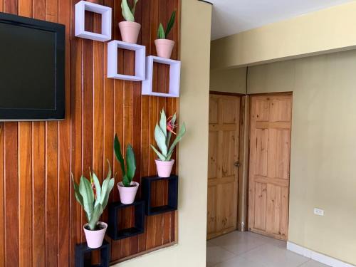 Carmen House | Pinky s Place Alajuela City Airport Costa Rica