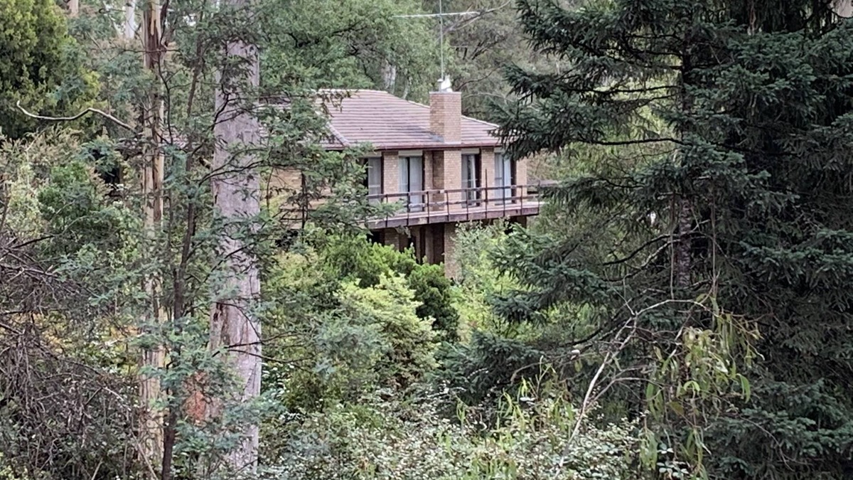 Sawmill Settlement House | Pinnacle Park -3.5 Acres of beautiful forest