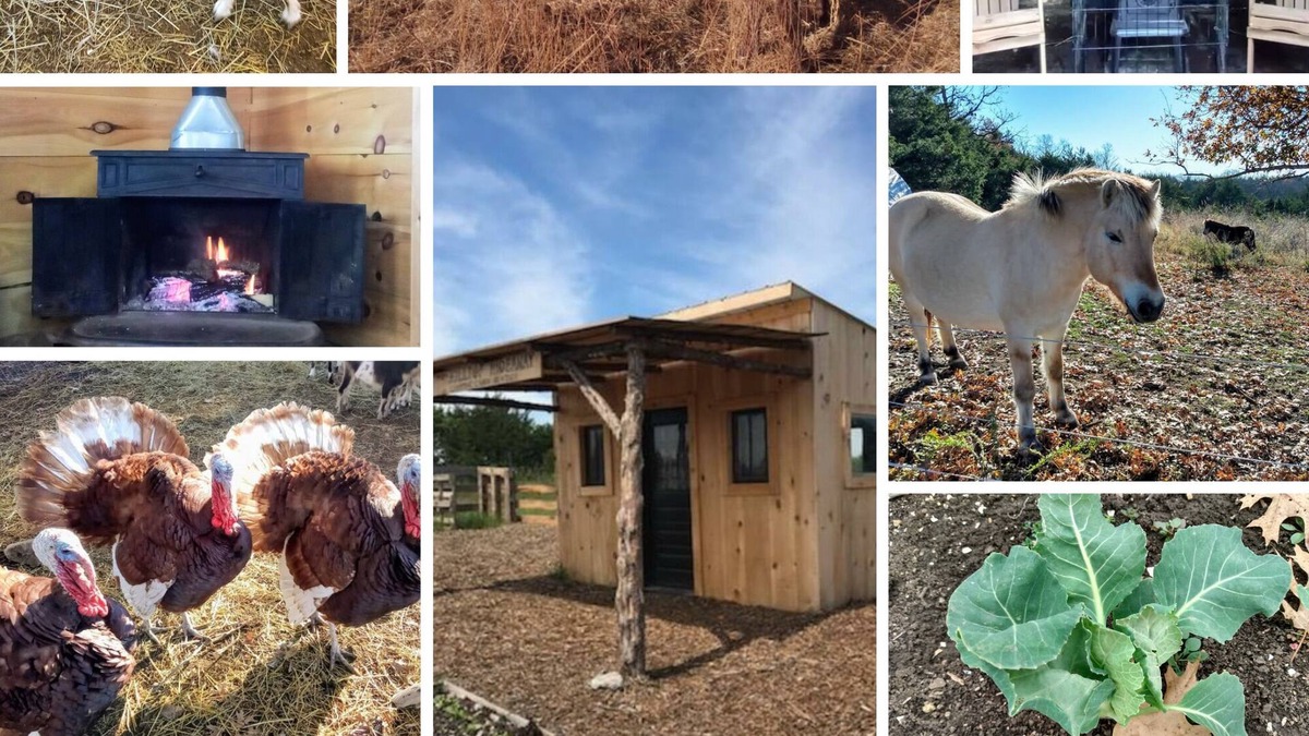 Wasola Cabin | Pioneer Cabin and Wood Fired Sauna on Our Sustainable Off Grid Educational Farm