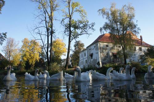 Otmuchow House | Piotrowice Nyskie Palace