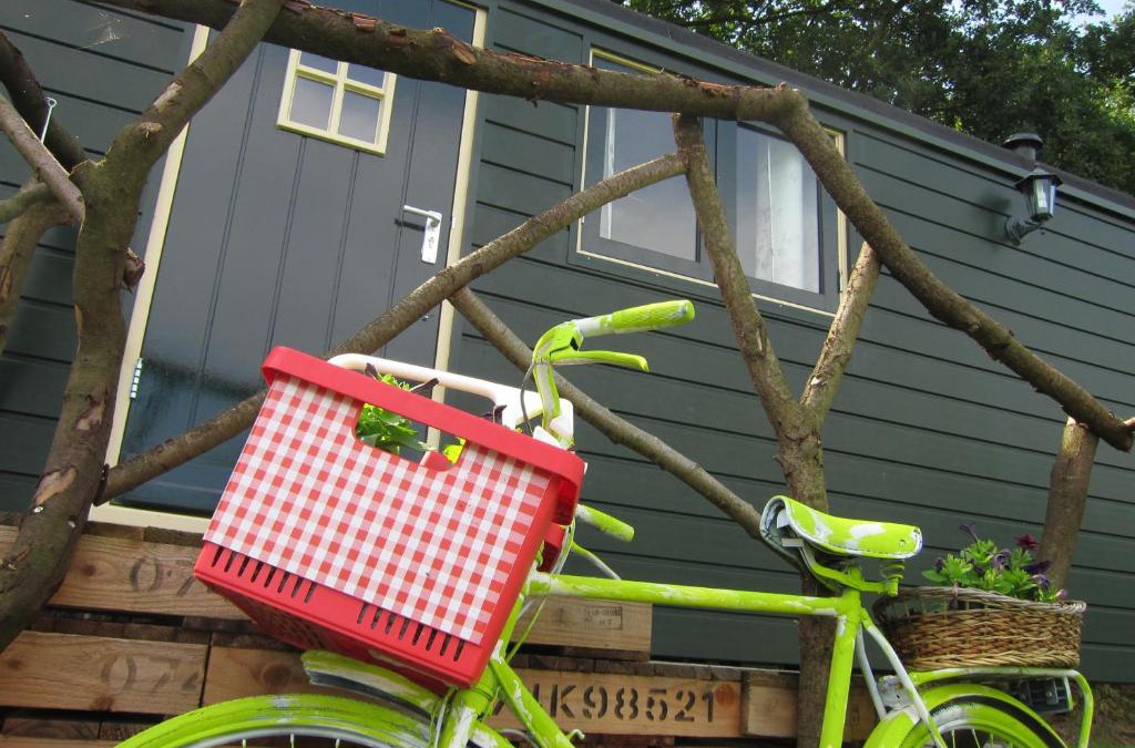Merselo Bed & Breakfast | Pipowagen Minicamping De Linde