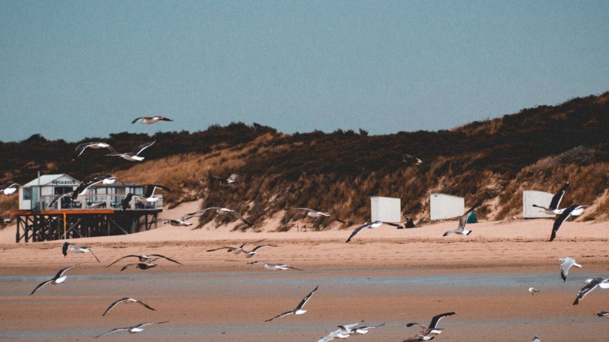 's-Gravenzande Resort | Pipowagen op het park