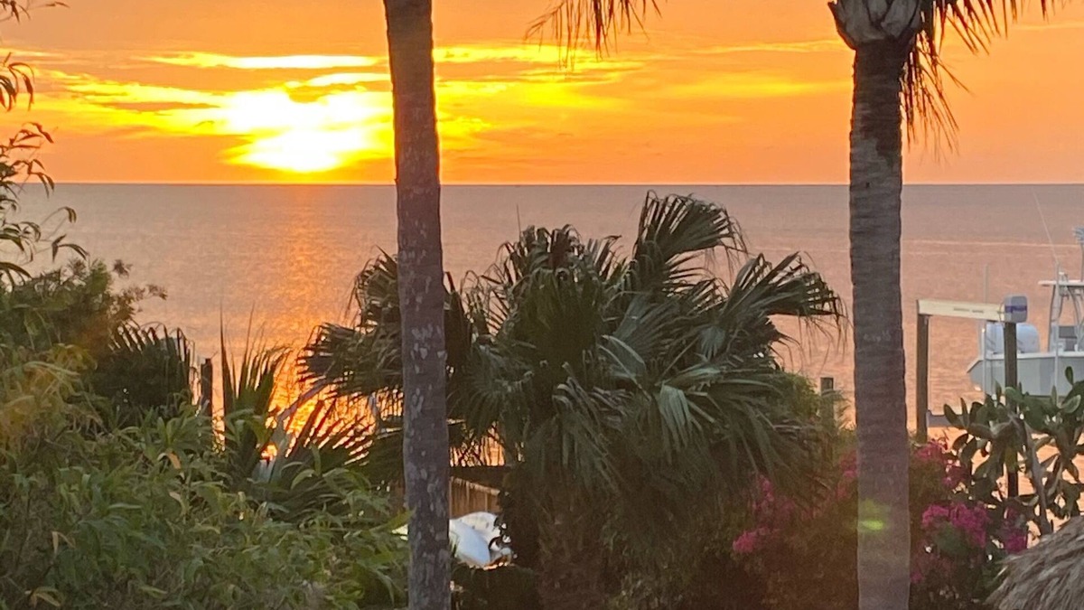 Gulf Harbors House | PIRATES PARADISE-Quiet Gulf Front Property near Clearwater/Tarpon Springs!