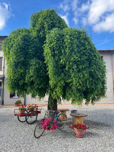 Torrile House | Pitaciò Affittacamere