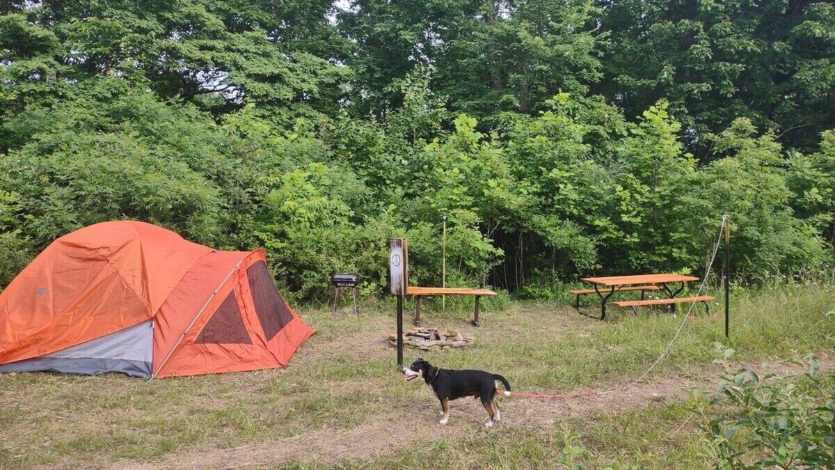 Laurelville RV Rental | Pitch a Tent or Park a 20 ft or Smaller Camper at Camp Peace Hocking Hills