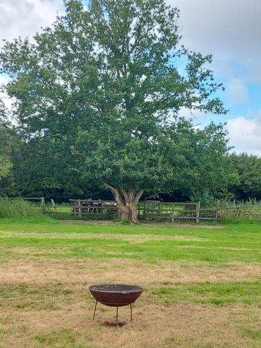 Wadhurst Other | Pitch your own tent on camp field at Hopgarden Camping TN5 6QX - NO BEDS INCLUDED