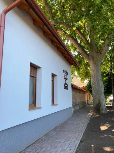 Csongrad Bed & Breakfast | Platán Panzió
