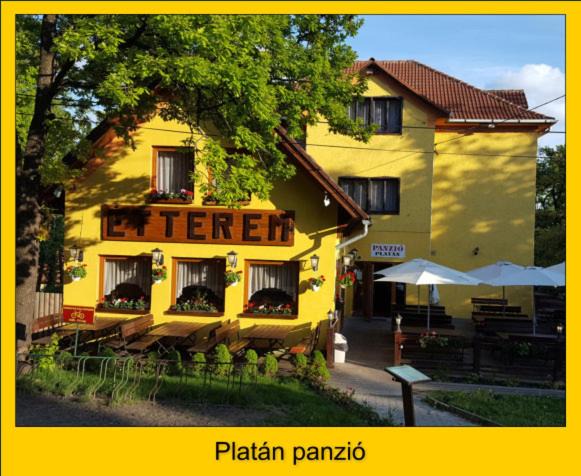 Szentendrei House | Platán Panzió