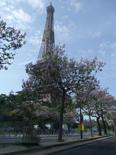 Necker Apartment | Plein coeur de Paris