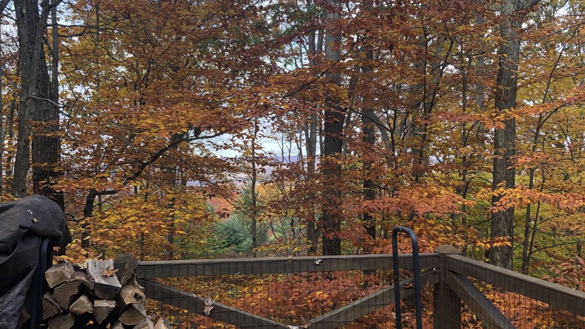 White Haven House | Poconos Jack Frost Mountain ski/golf, hiking, rivers/lakes - summer dates open