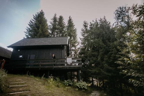 Myczkow Ski Chalet | Poczciwy Bies