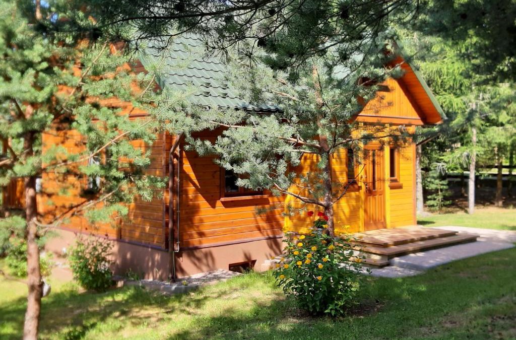 Giby House | Pod Dębem Bis