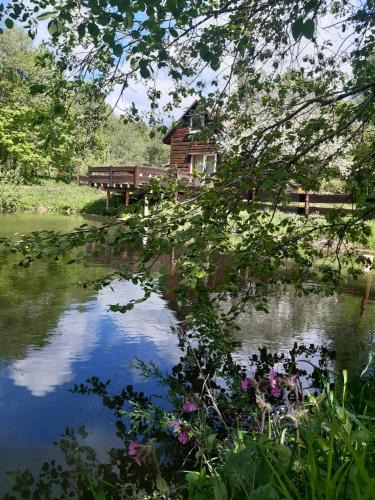 Cisna House | Pod dobrym adresem- domek nad stawem