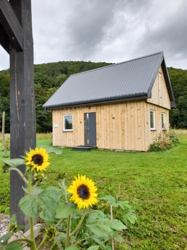 Ladek-Zdroj Ski Chalet | Pod Górką