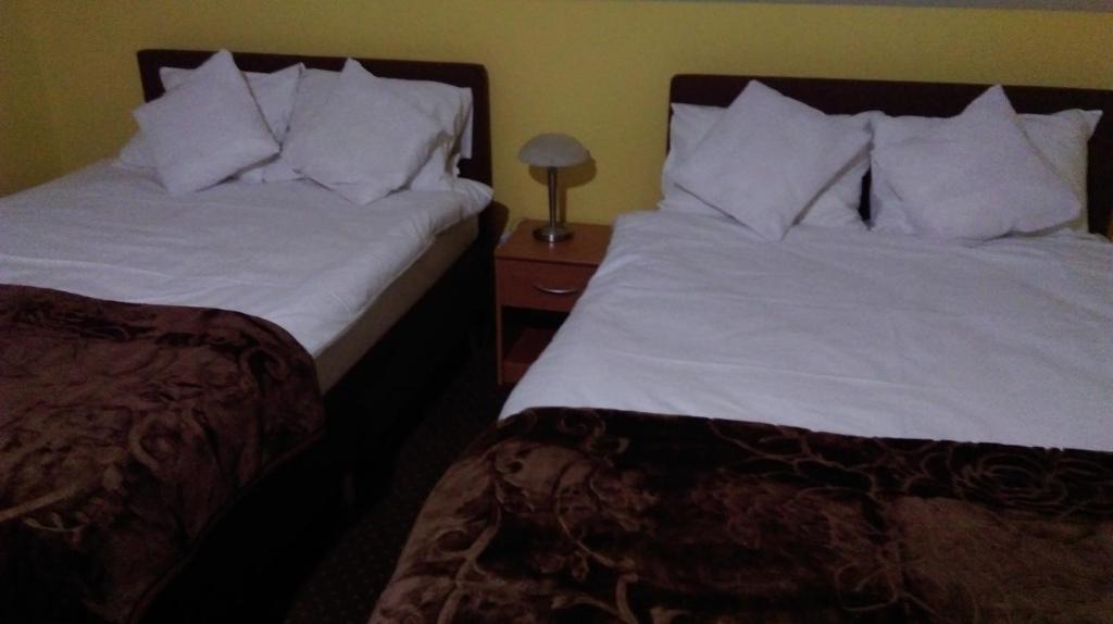 Blonie Hotel | Pod Lwami