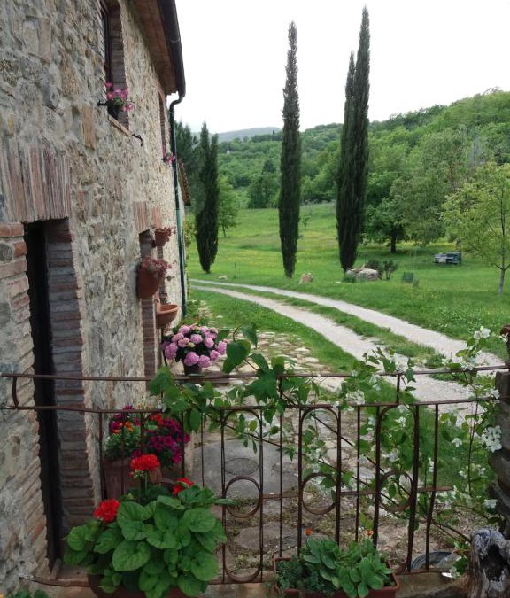 Castelnuovo di Val di Cecina Apartment | Podere Pian di Cava