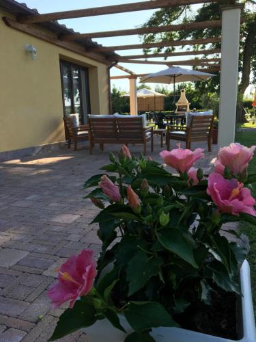San Giuliano Terme Apartment | Podere Gabry
