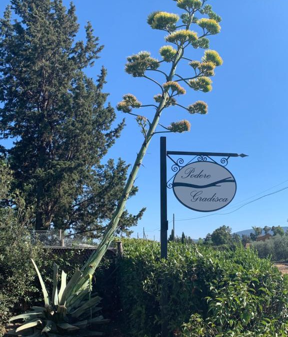 Grosseto House | Podere Gradisca
